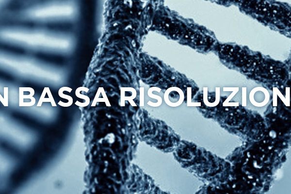 dna-bassa