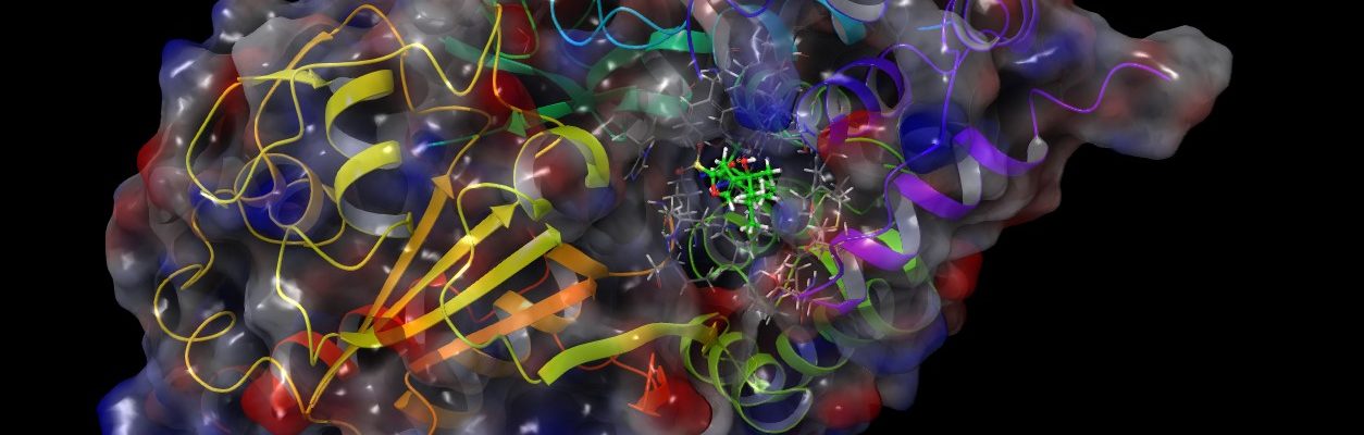 Imamgine NLRP3_full protein_binding_site